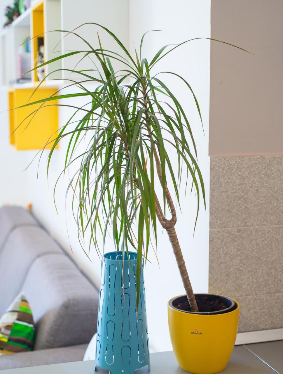 Apartment Lemon Mostar Eksteriør bilde